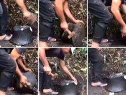 AMAN Kecam Perusakan Situs Masyarakat Adat di Minahasa Tenggara