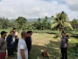 Polsek lolayan Siap Tanam Jagung Untuk Dukung Ketahanan Pangan