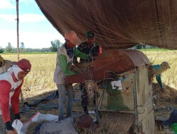 Babinsa Bantu Petani Perkuat Ketahanan Pangan