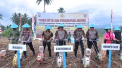 Mendukung Ketahanan Pangan, Kakorbinmas Baharkam Polri Pimpin Panen Raya dan Penanaman Jagung di Kotamobagu