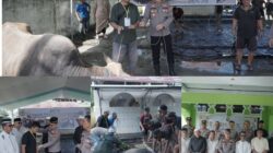 Polres Kotamobagu Gelar Penyembelihan Hewan Qurban Idul Adha 1447 H