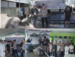 Polres Kotamobagu Gelar Penyembelihan Hewan Qurban Idul Adha 1447 H