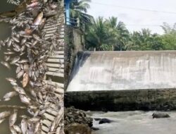 Diminta Polisi Tertibkan Tong Ilegal di Hulu Sungai Mo’ayat, Diduga Cemari Lingkungan dan Ancam Tambak Ikan