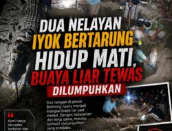 Dua Nelayan Iyok Bertarung Hidup Mati, Buaya Liar Tewas Dilumpuhkan