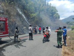 Gerak Cepat, Polsek Lolayan Bersama TNI,Damkar dan Masyarakat Tanggulangi Kebakaran Lahan di Perkebunan Tumuyu